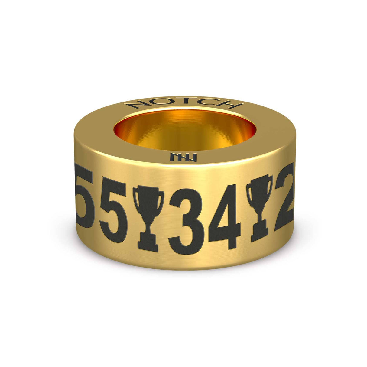 RANGERS TROPHY CABINET NOTCH Charm