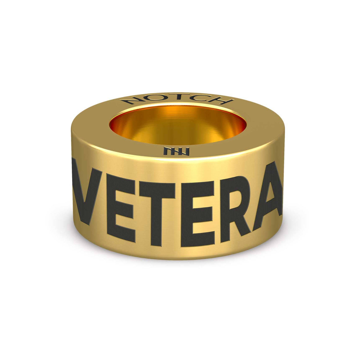 RAOC Veteran NOTCH Charm