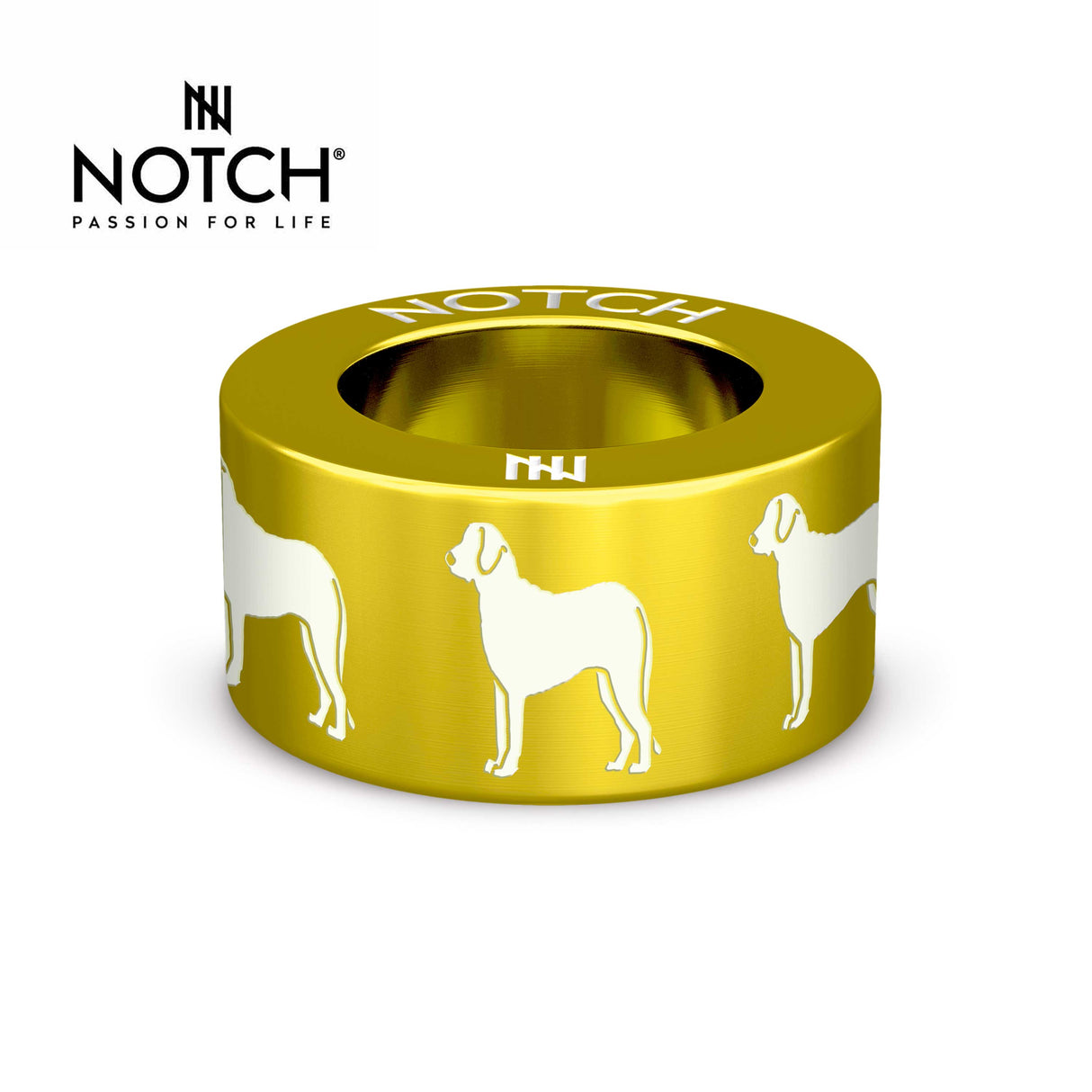 Chesapeake Bay Retriever NOTCH Charm