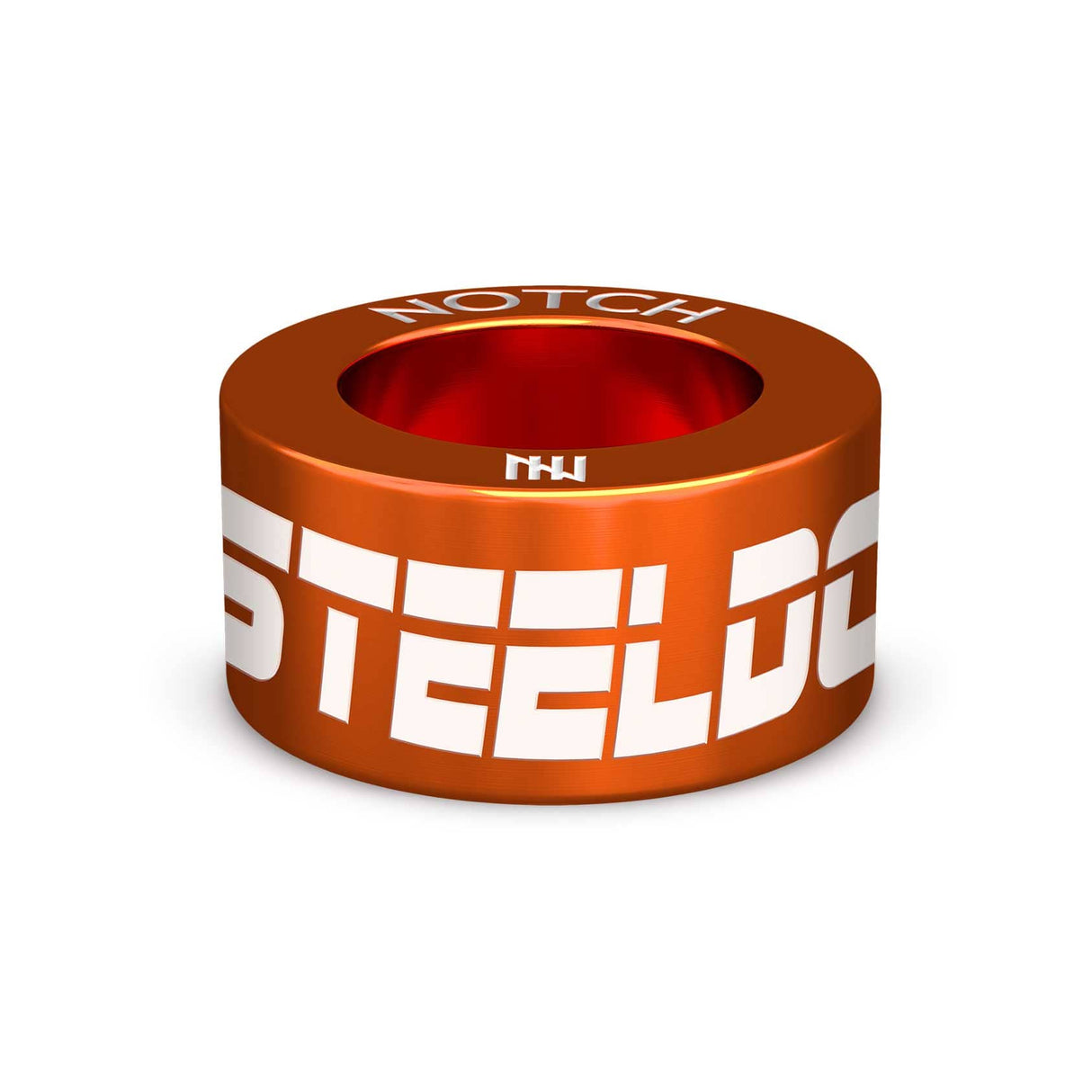 SHEFFIELD STEELDOGS NOTCH Charm