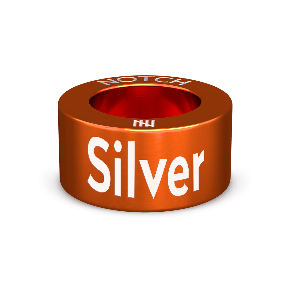 Silver Award NOTCH Charm
