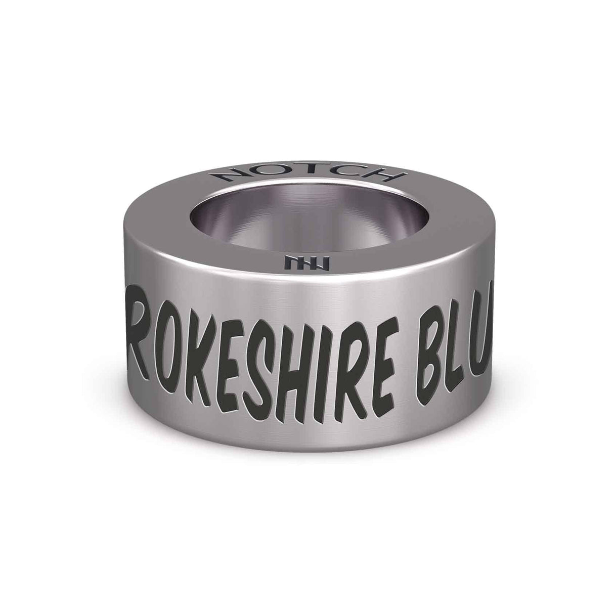 South Pembrokeshire Bluetits NOTCH Charm