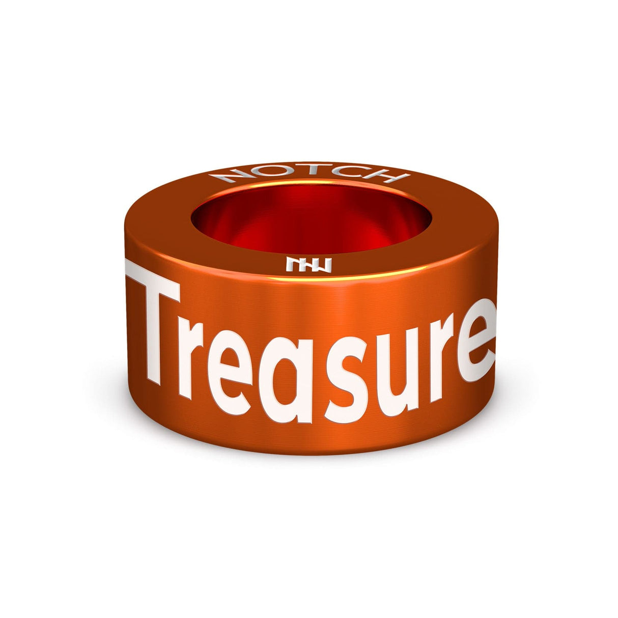 TREASURE HUNT CHALLENGE NOTCH Charm