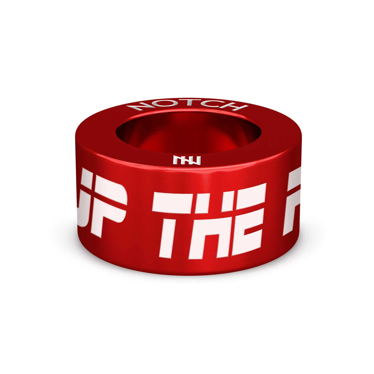 UP THE PALACE NOTCH Charm