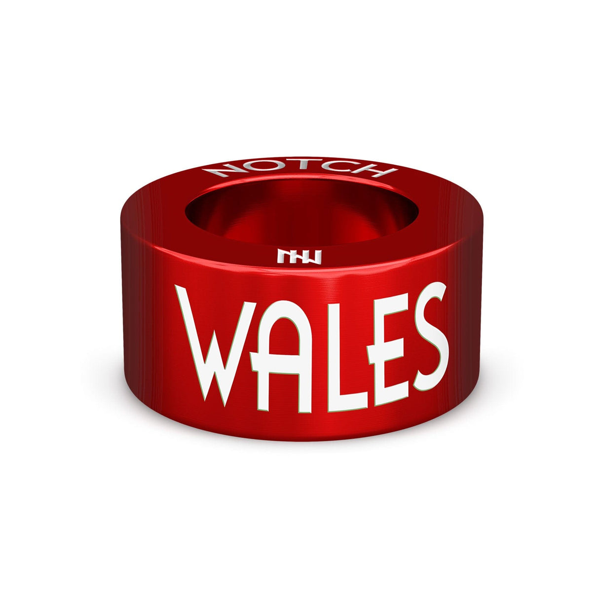 Wales 2025 NOTCH Charm