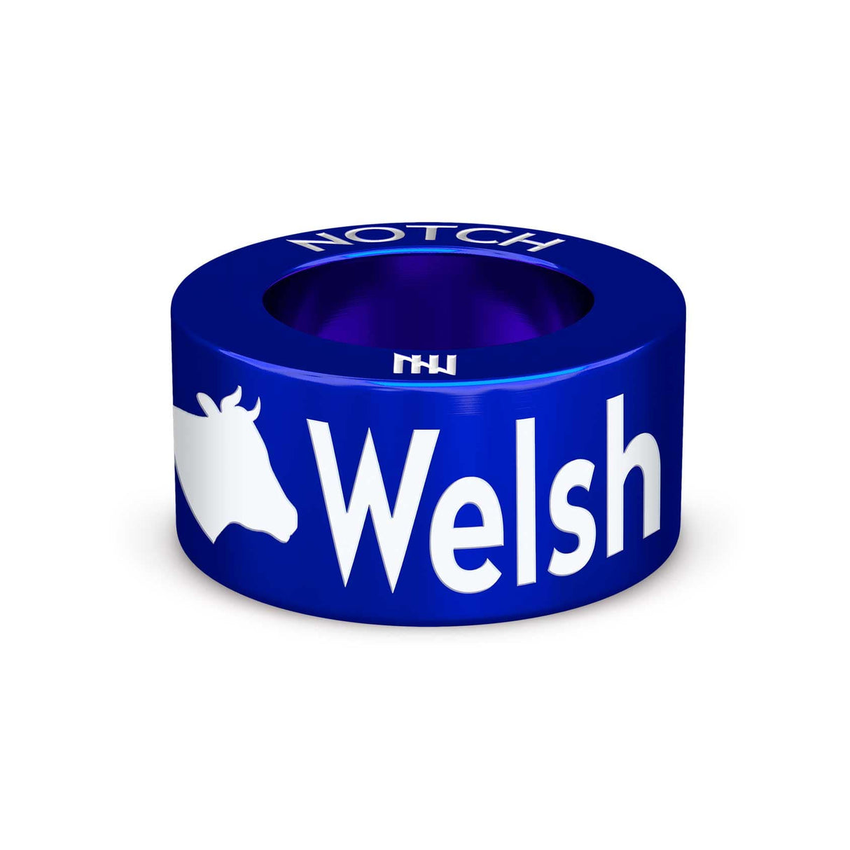 Welsh Regionnaire NOTCH Charm
