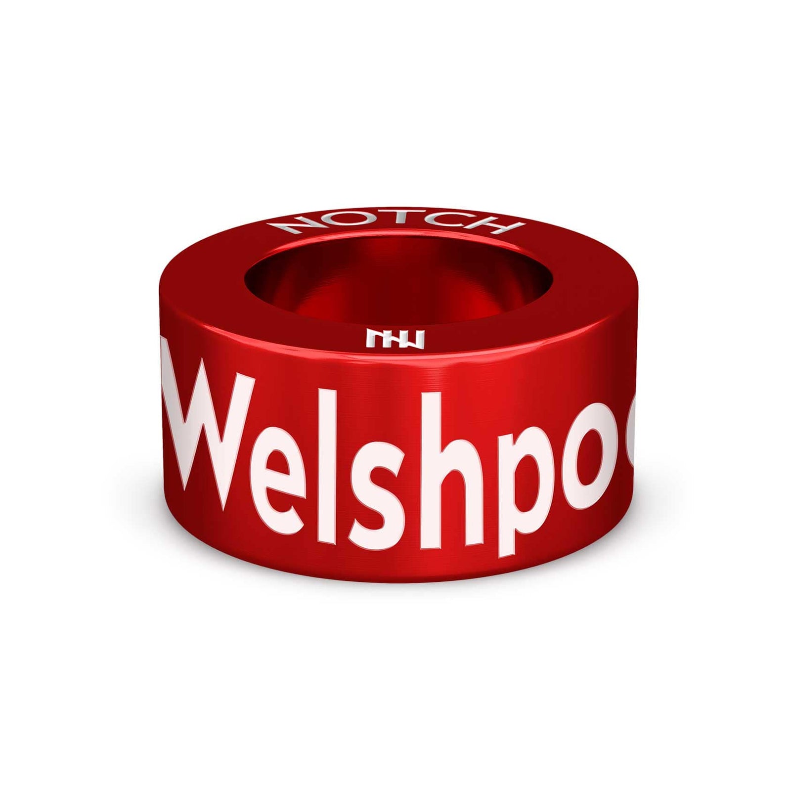 Welshpool 10K in aid of Hope House NOTCH Charm