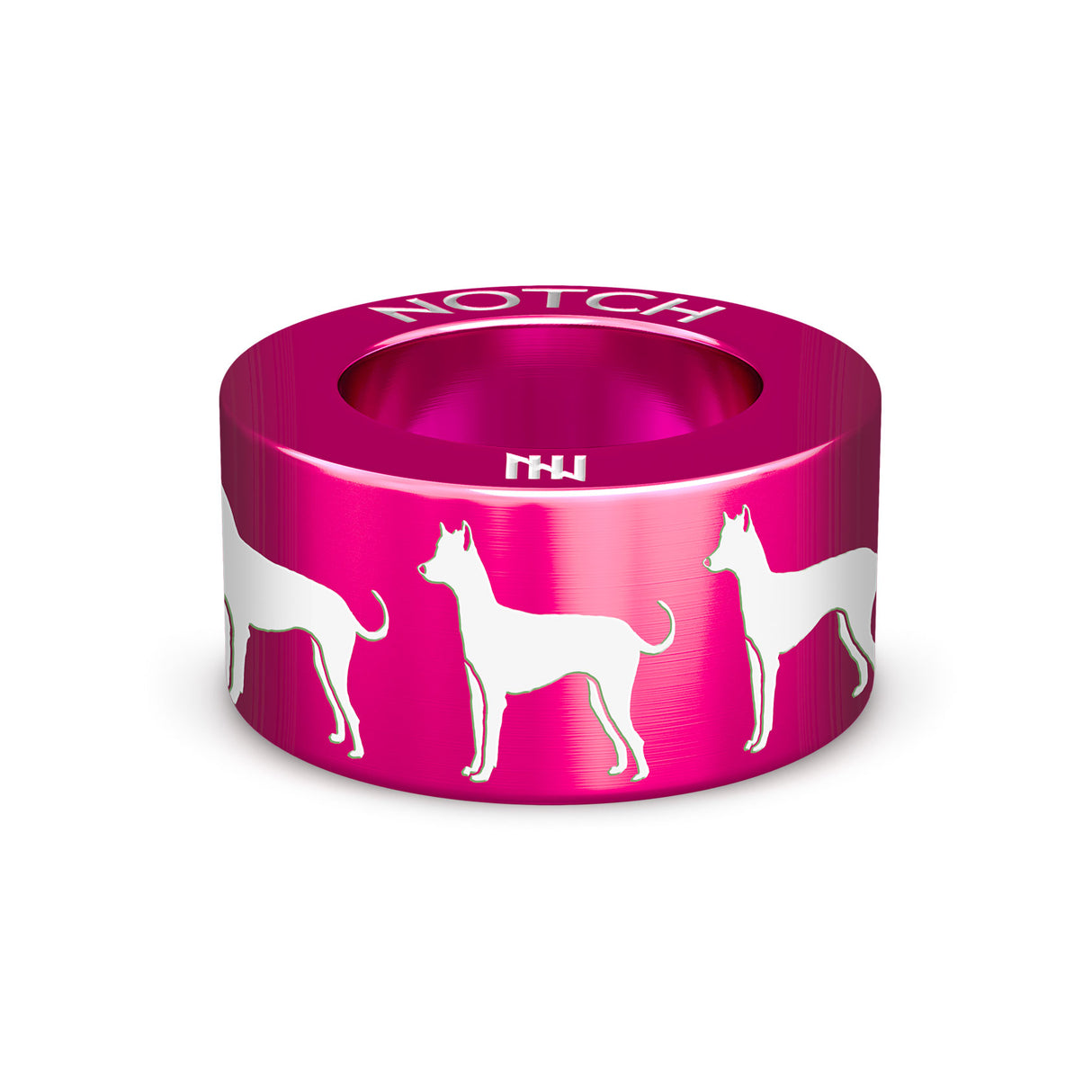 Xoloitzcuintle (Mex Hairless) Int NOTCH Charm