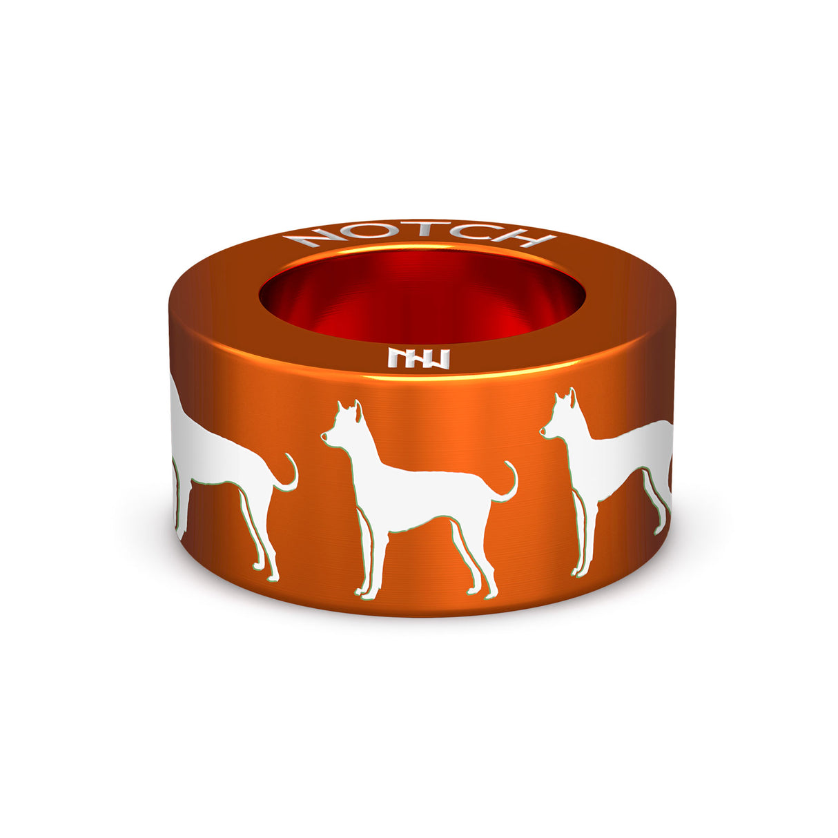 Xoloitzcuintle (Mex Hairless) Int NOTCH Charm