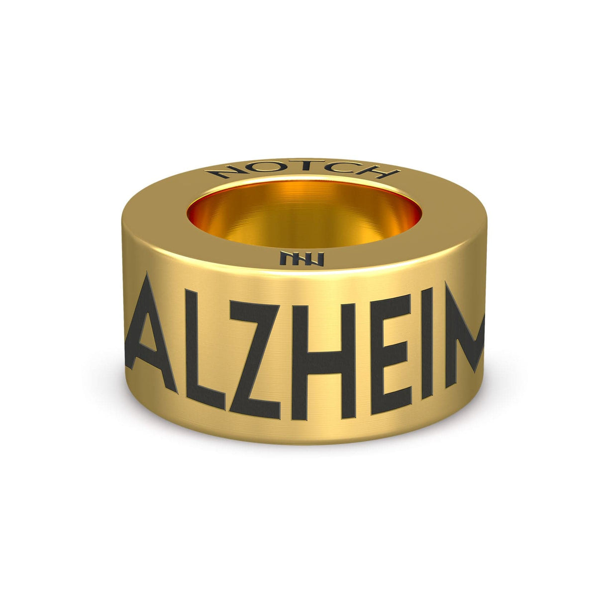 Alzheimer's NOTCH Charm (Full List)