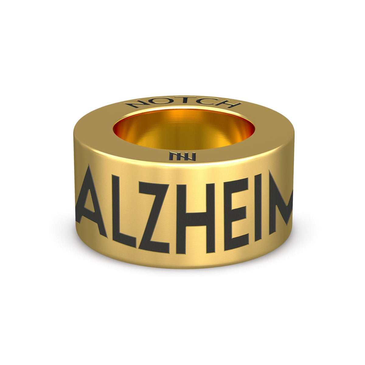 Alzheimer's NOTCH Charm (Full List)