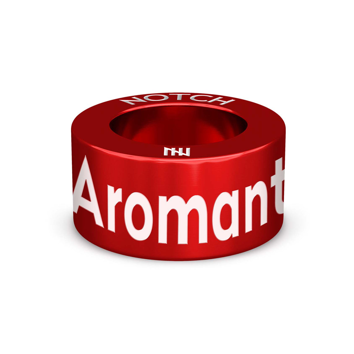 Aromantic and Proud NOTCH Charm