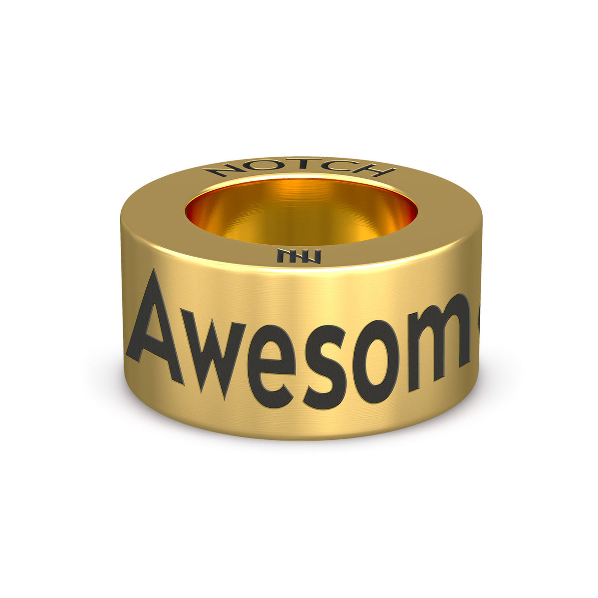 Dog Agility Clubs NOTCH Charm (Full List)