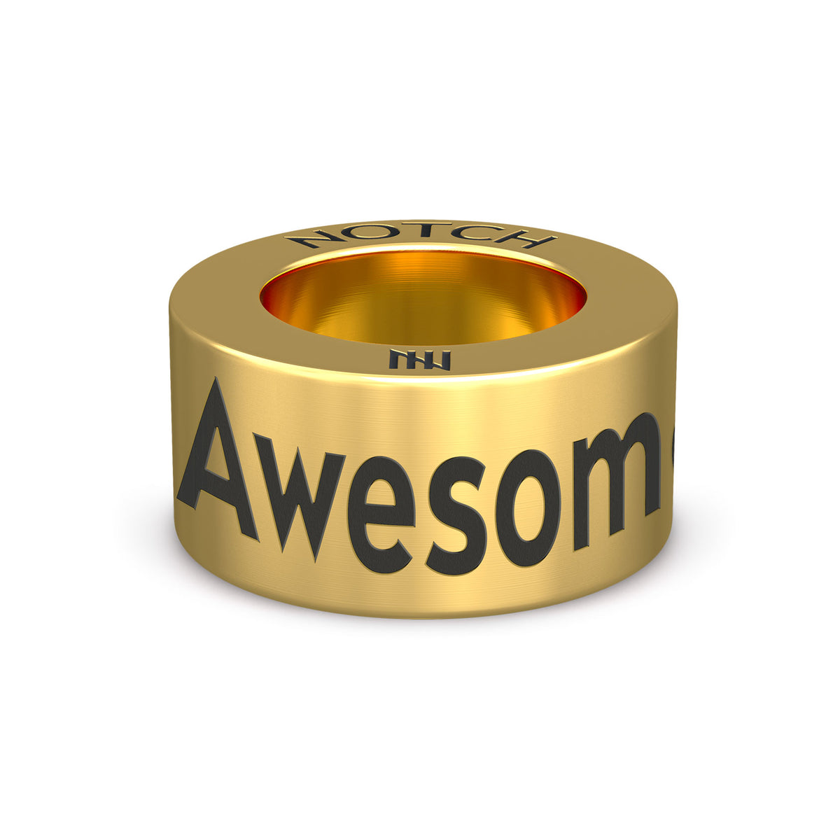 Dog Agility Clubs NOTCH Charm (Full List)