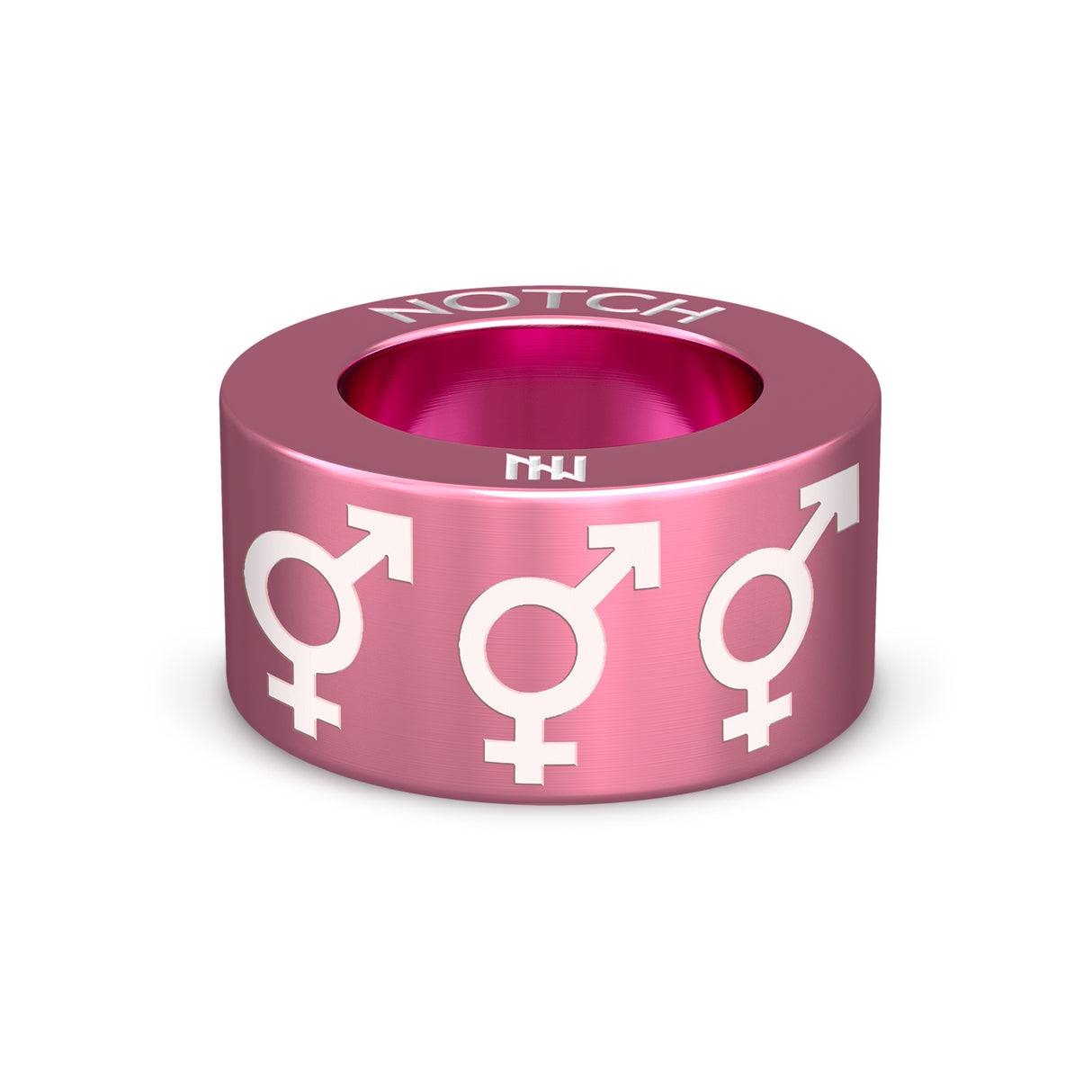 Bigender NOTCH Charm