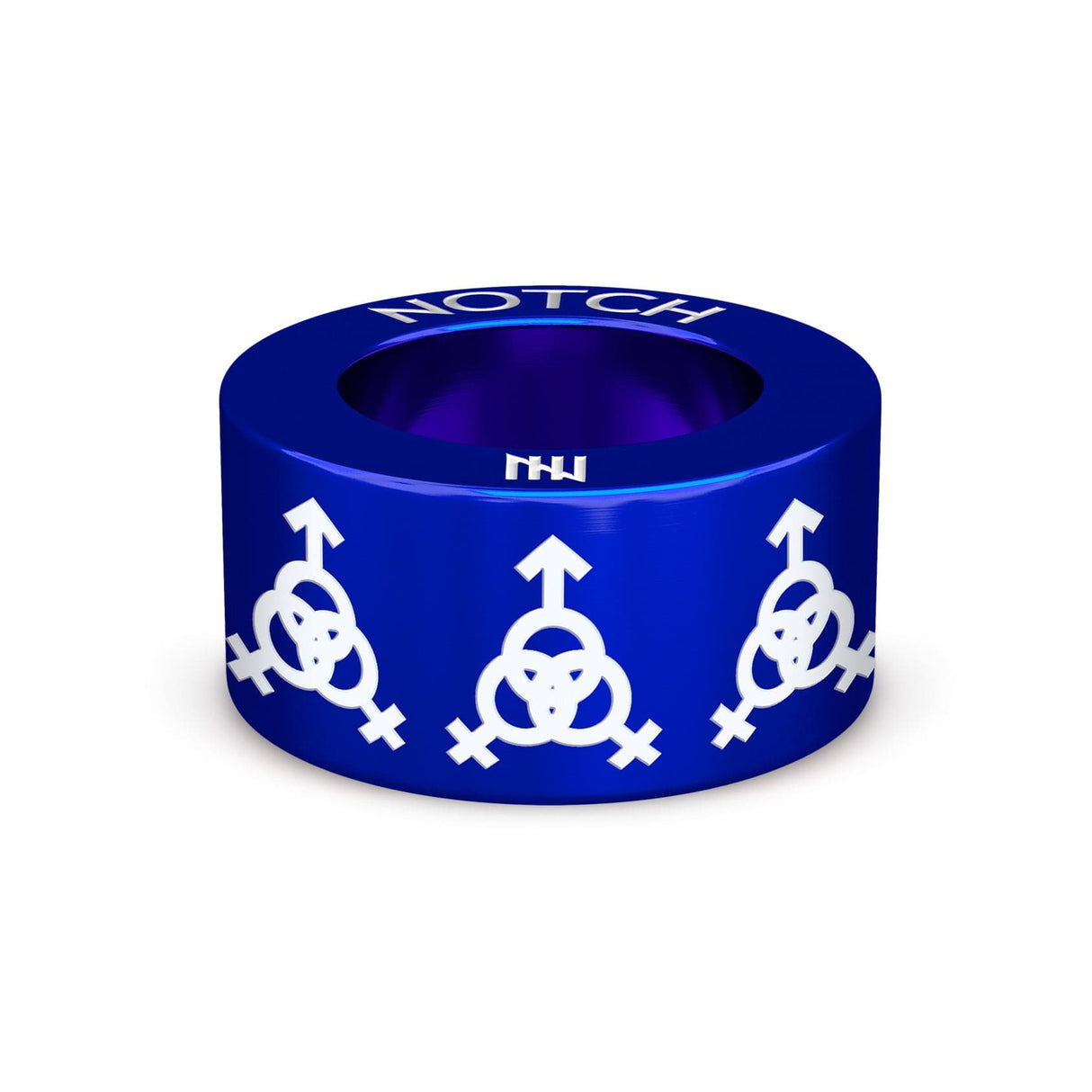 Bisexual B NOTCH Charm