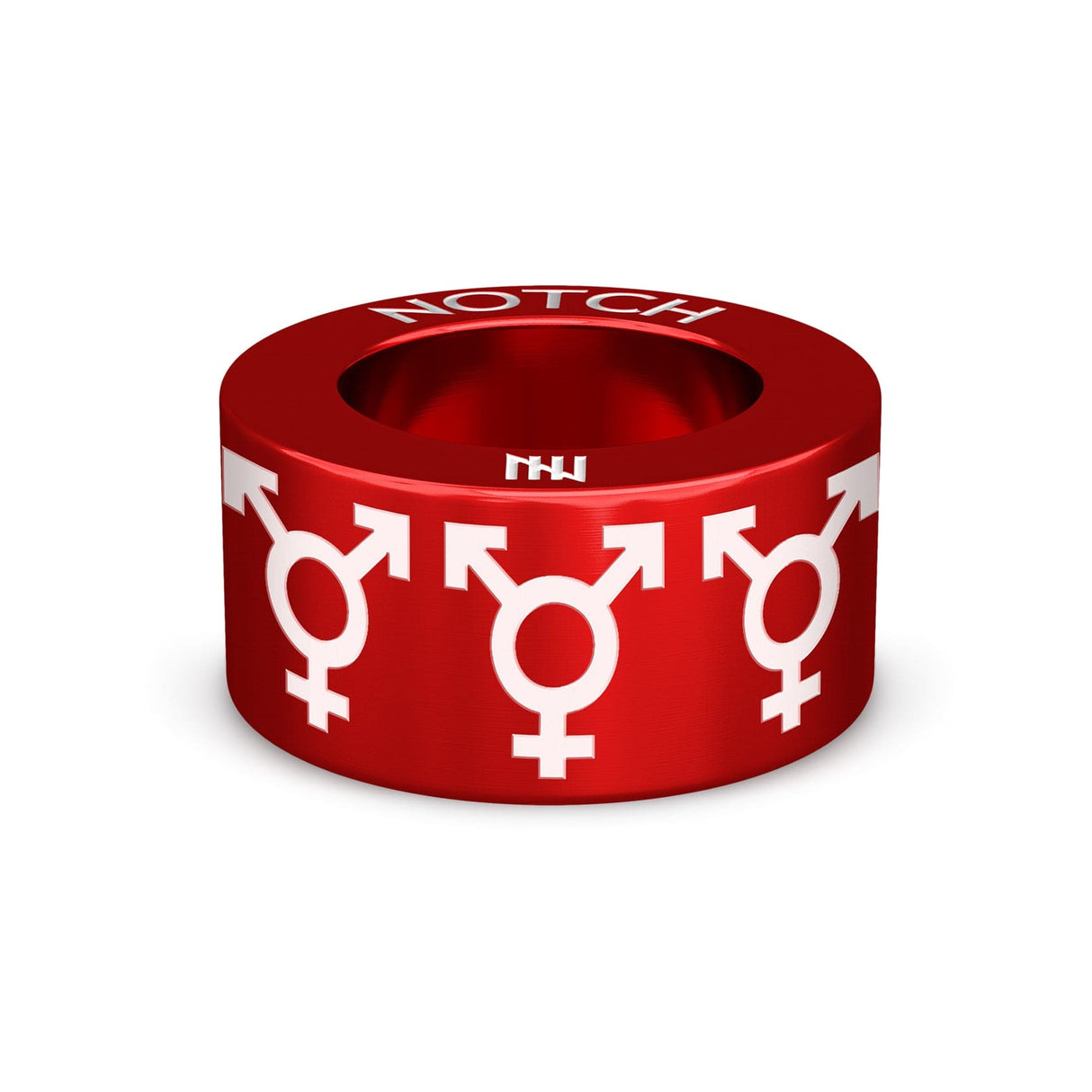 Bisexual C NOTCH Charm