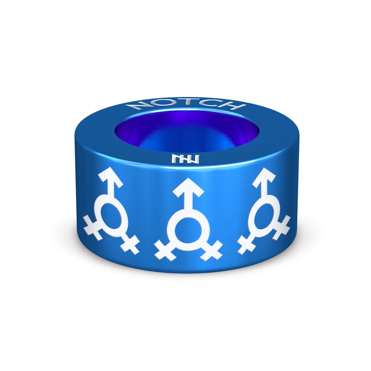 Bisexual D NOTCH Charm