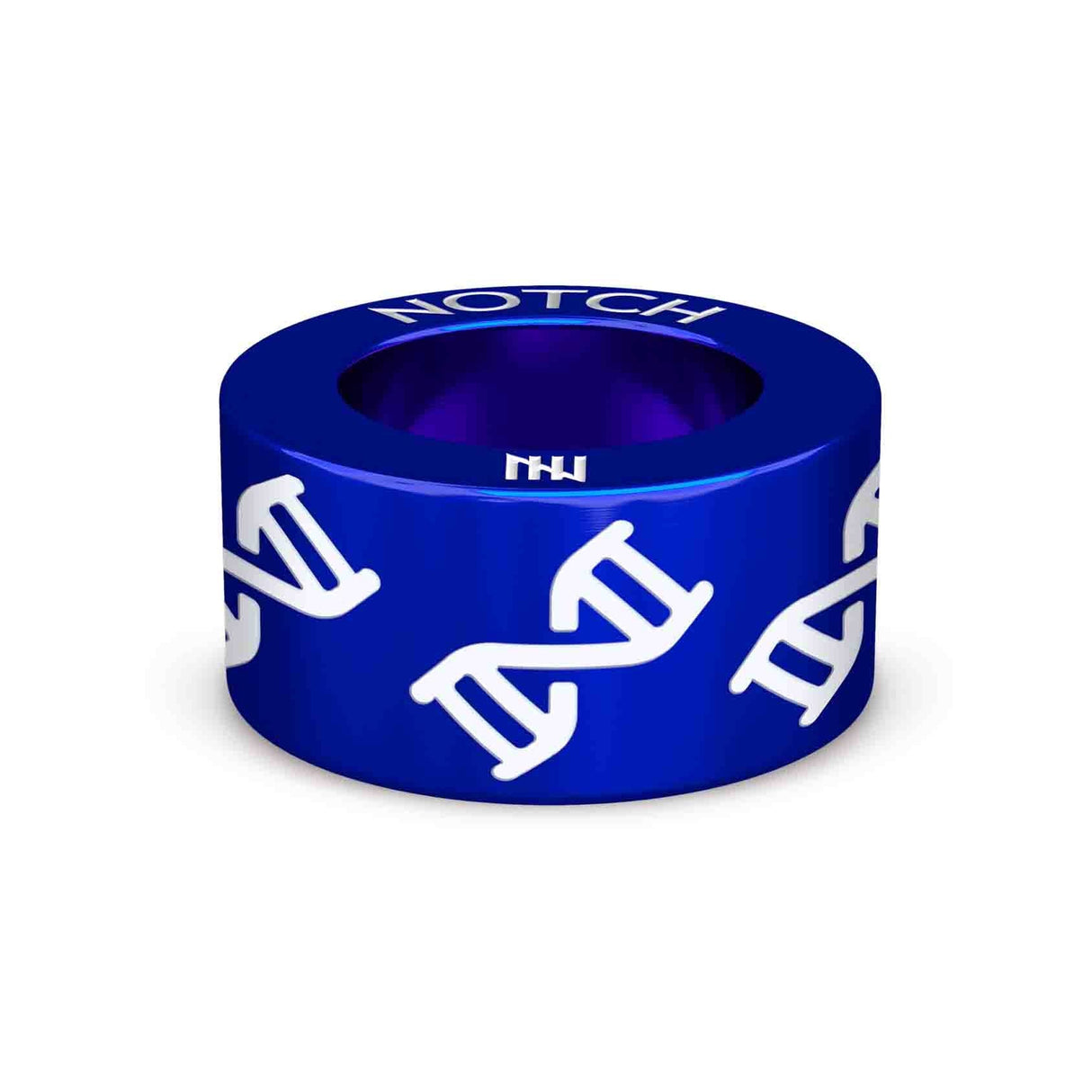 DNA Helix NOTCH Charm