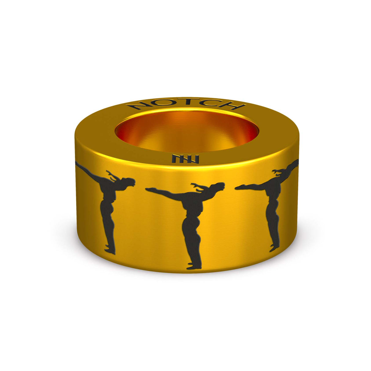 Evolving Dancers NOTCH Charm