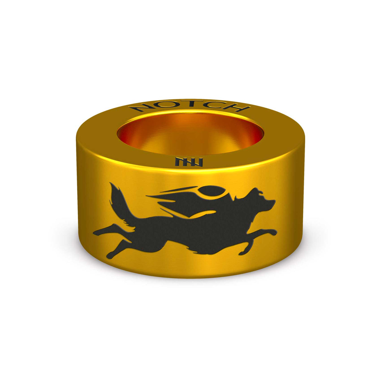 FOWC LOGO 2022 NOTCH Charm