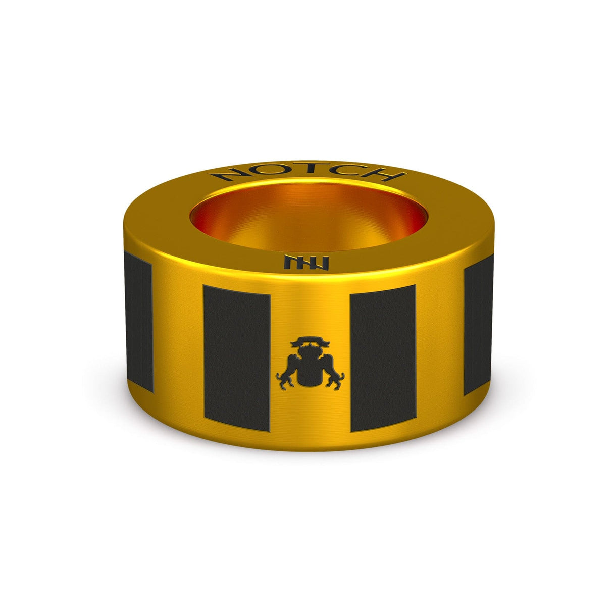 Canary Islands Flag NOTCH Charm