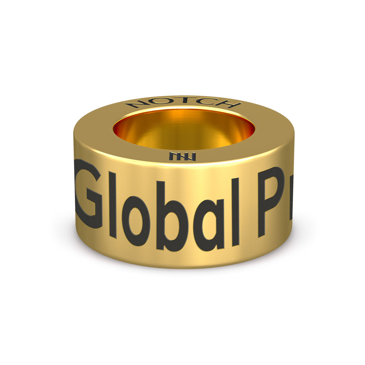 Global Pride NOTCH Charm