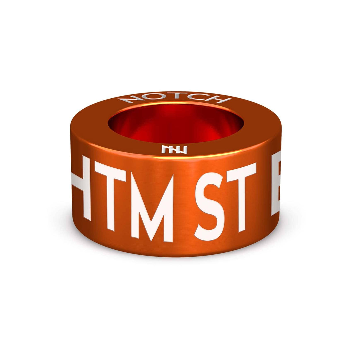 Heelwork to Music Grade NOTCH Charm (Full List)