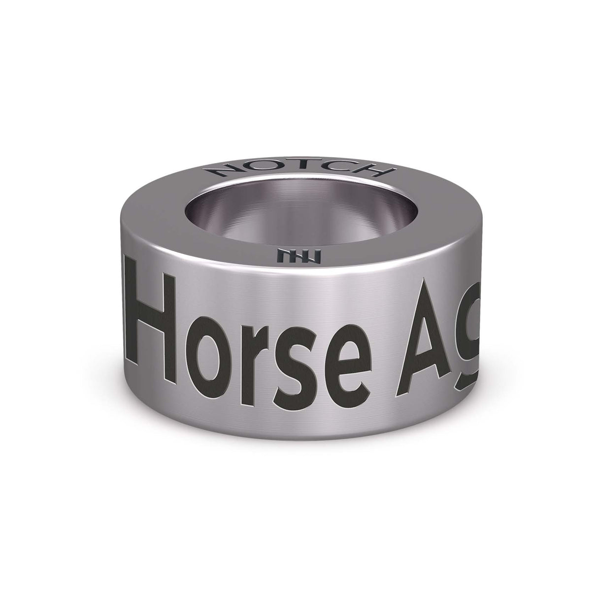 Horse Agility Fanatics NOTCH Charm (Full List)