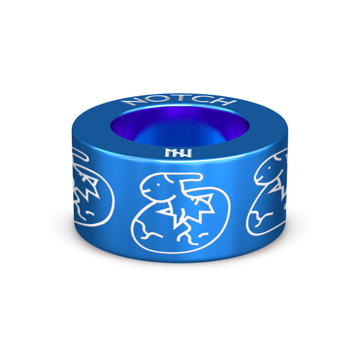 Hatching Dinosaur Egg NOTCH Charm