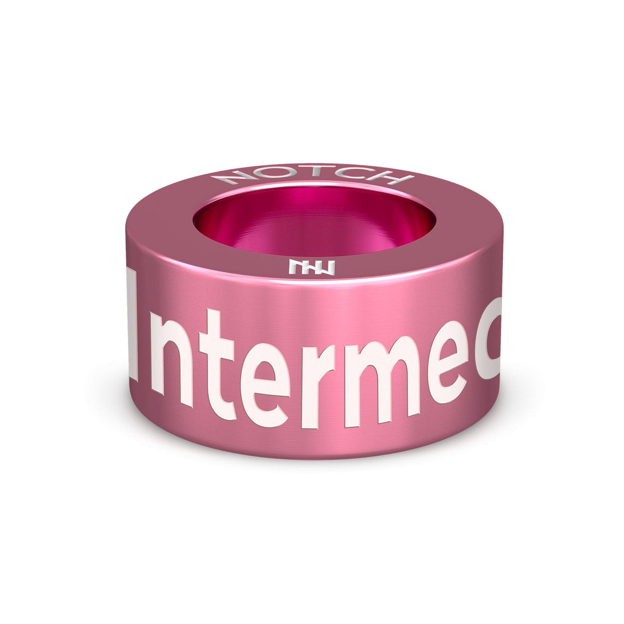 APDT Good Companion Awards NOTCH Charm