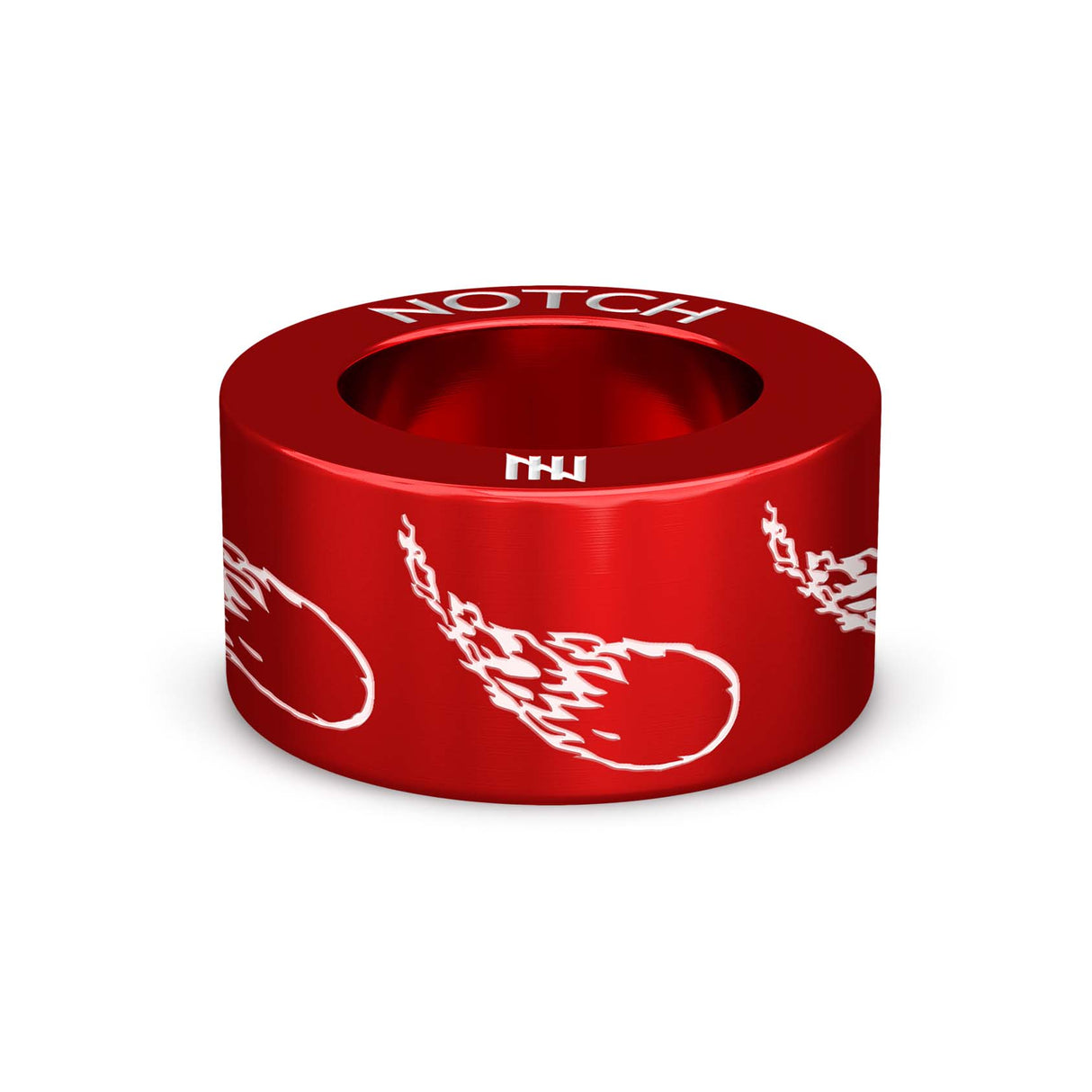 Meteorite NOTCH Charm