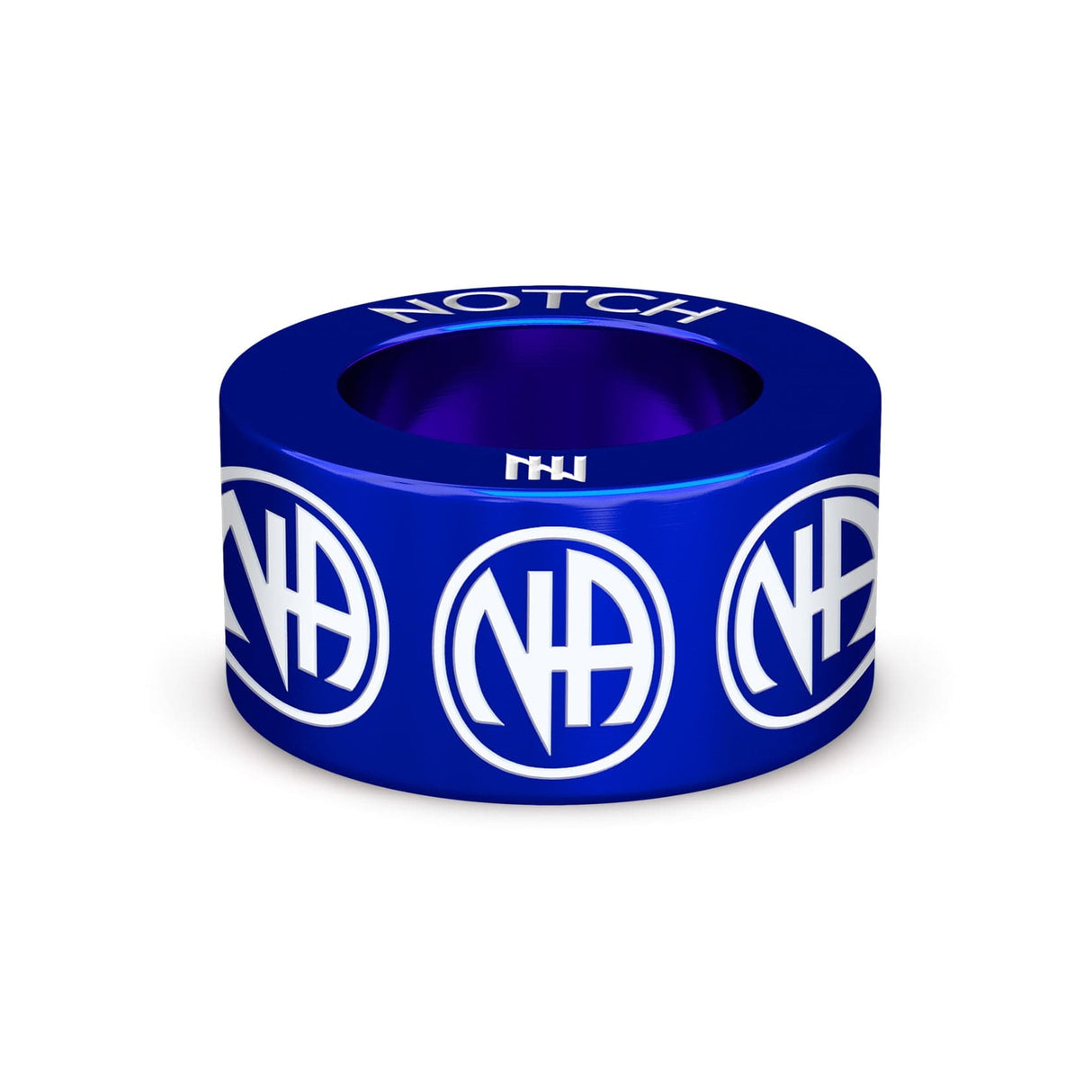 Narcotics Anonymous Symbol NOTCH Charm