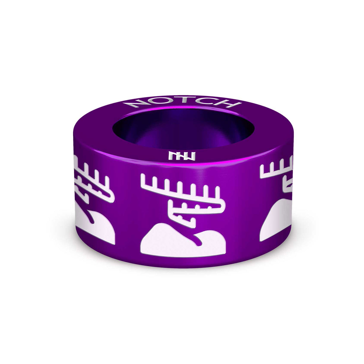 Northern Lights NOTCH Charm