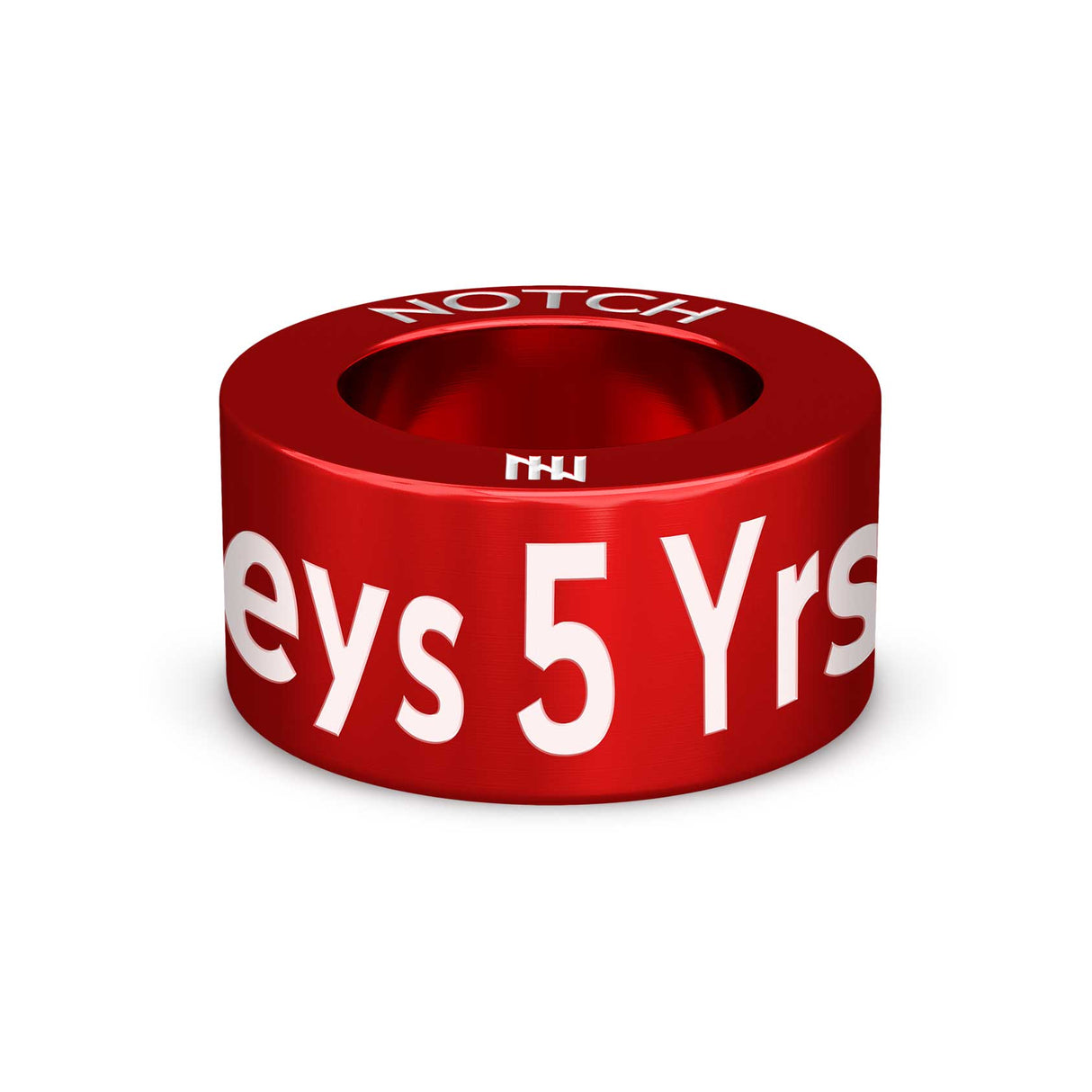 Northern Monkeys 5 Year Anniversary NOTCH Charm