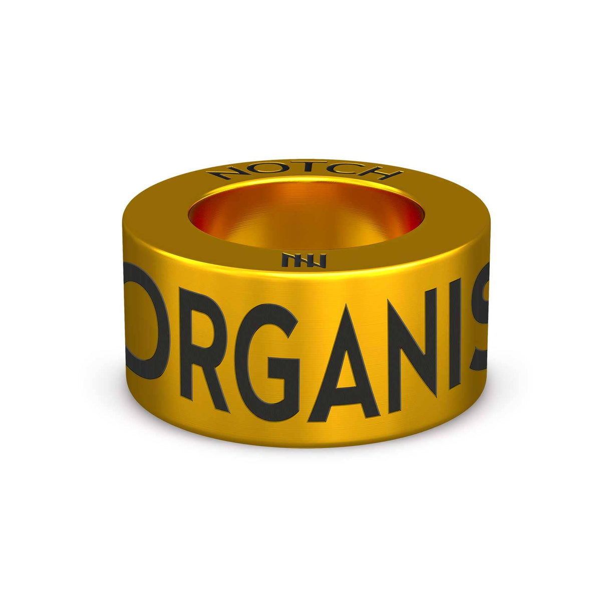 NOSEWORK GAMES ORGANISER NOTCH Charm