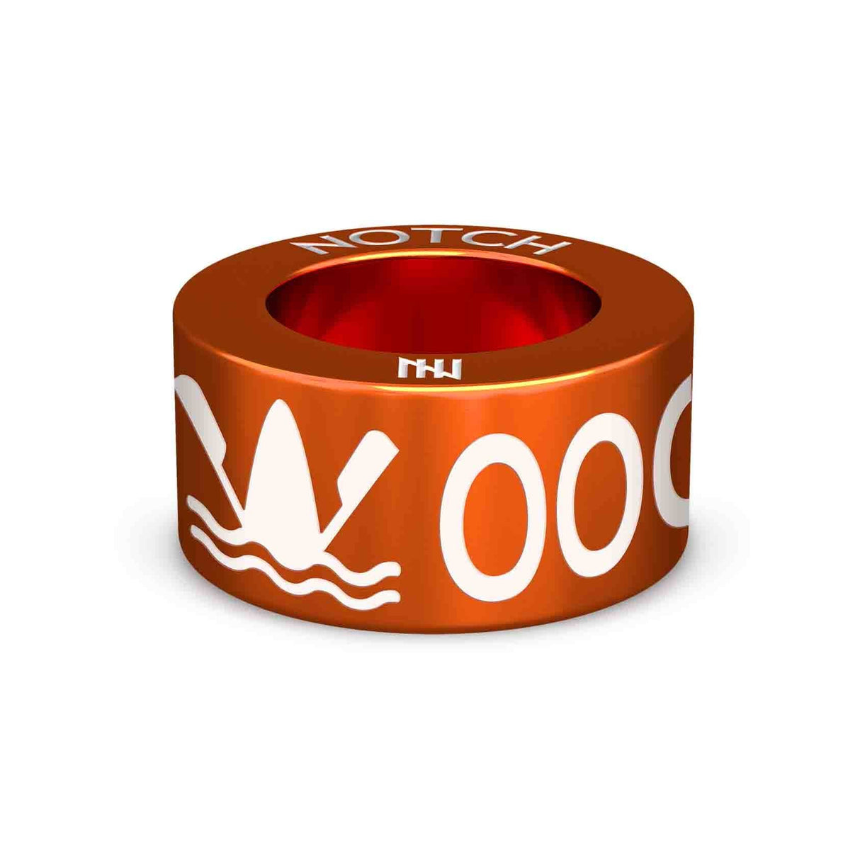 Ooops, I Did It Again! NOTCH Charm