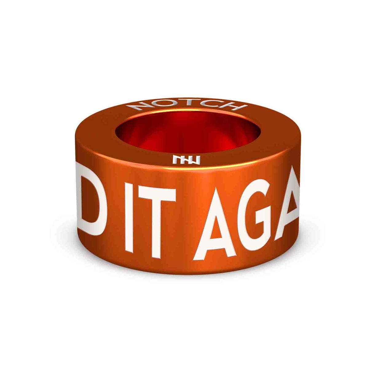 Ooops, I Did It Again! NOTCH Charm