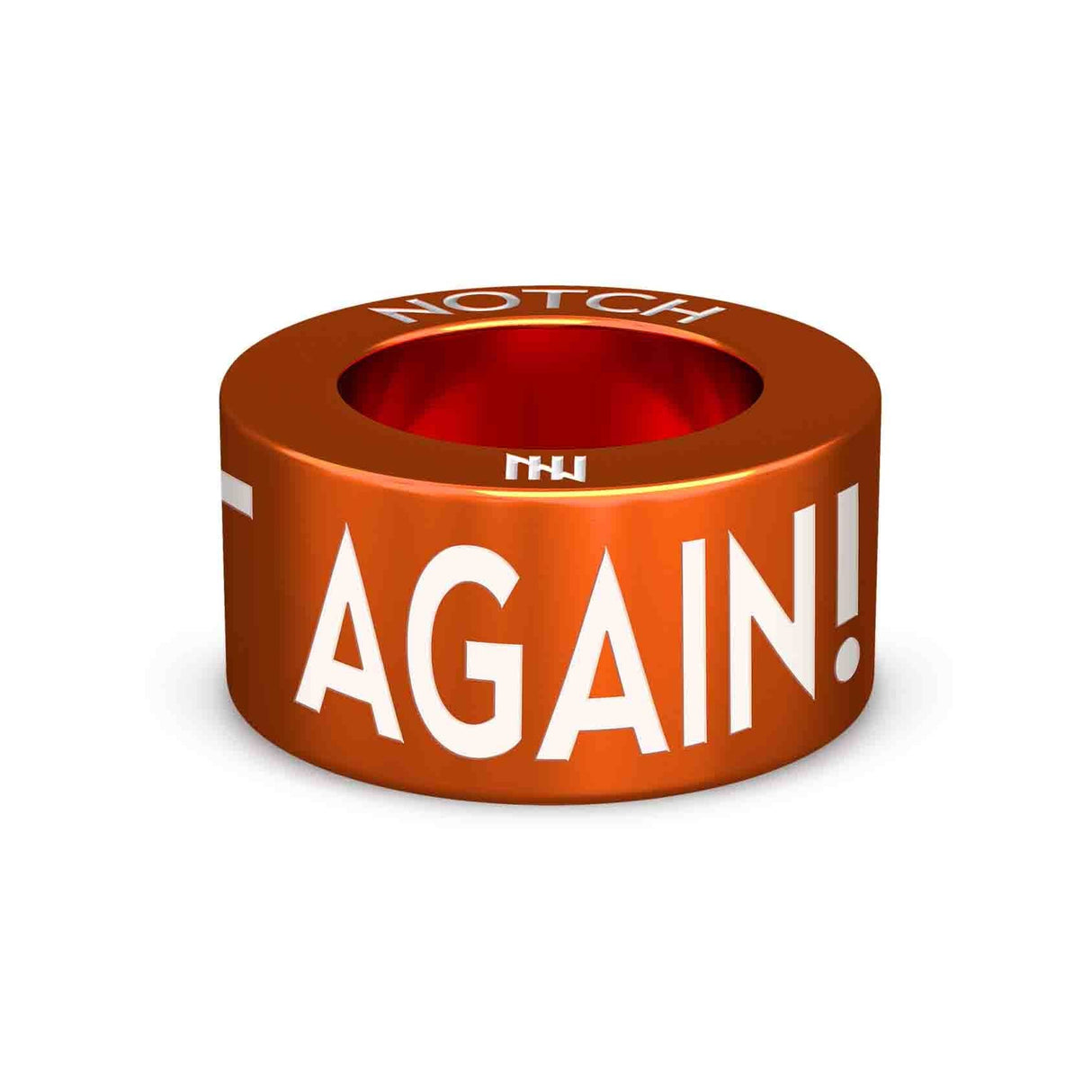 Ooops, I Did It Again! NOTCH Charm