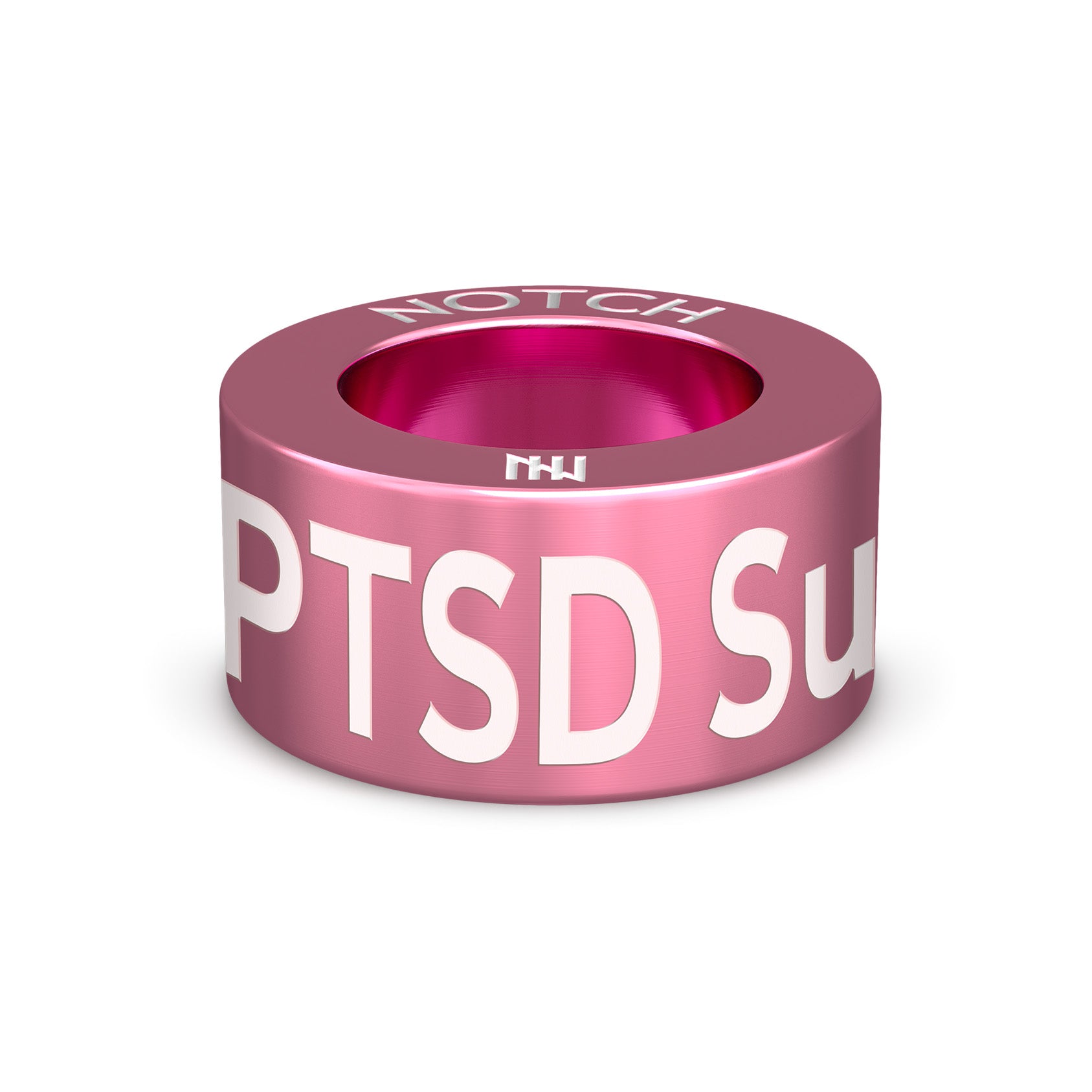 PTSD Survivor NOTCH Charm