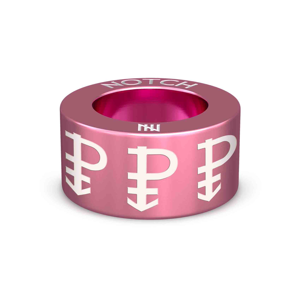 Pansexual NOTCH Charm