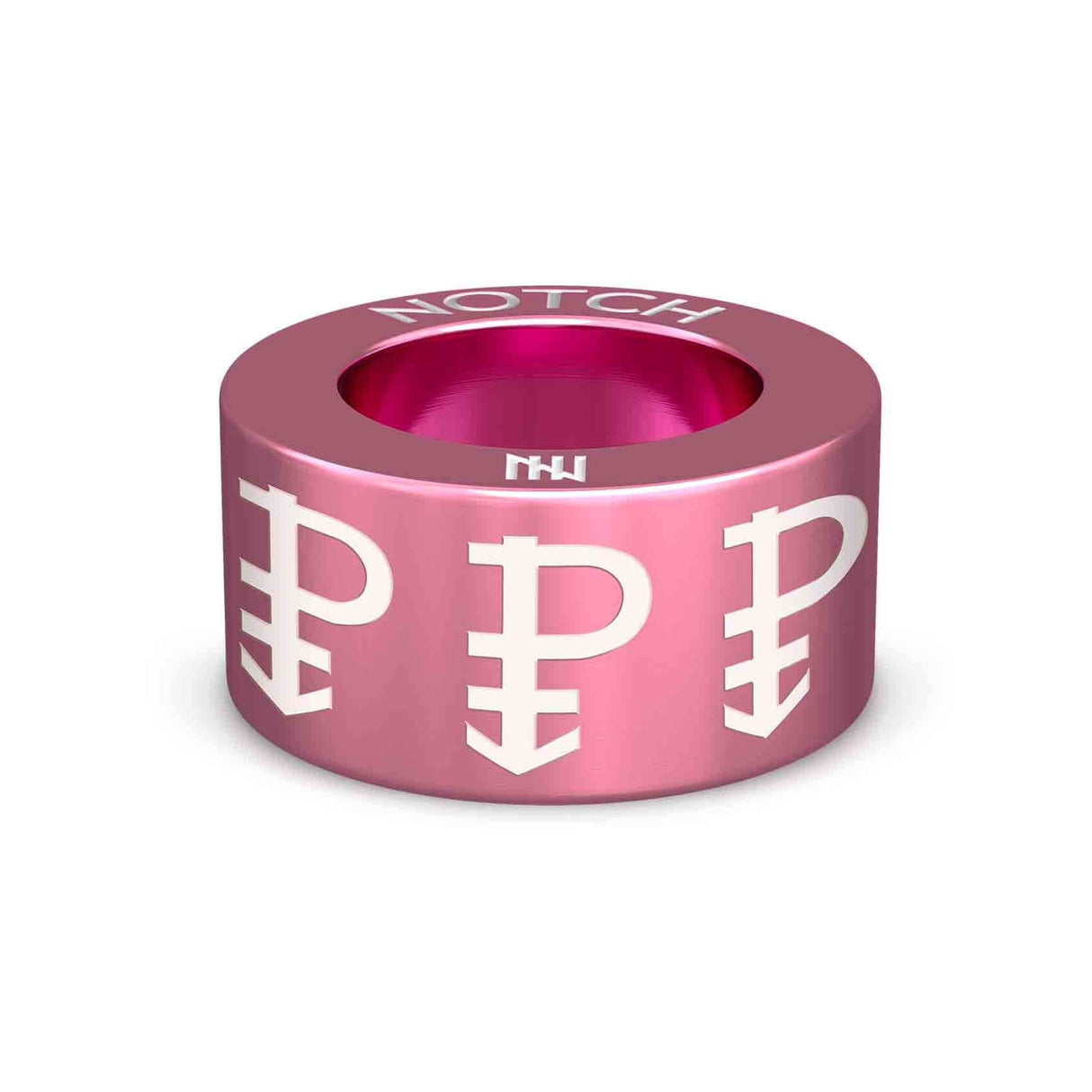 Pansexual NOTCH Charm