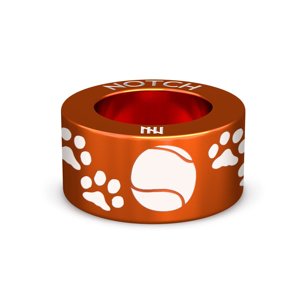 Paw Prints and Ball NOTCH Charm