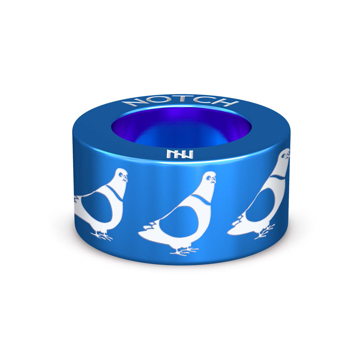 Pigeons NOTCH Charm
