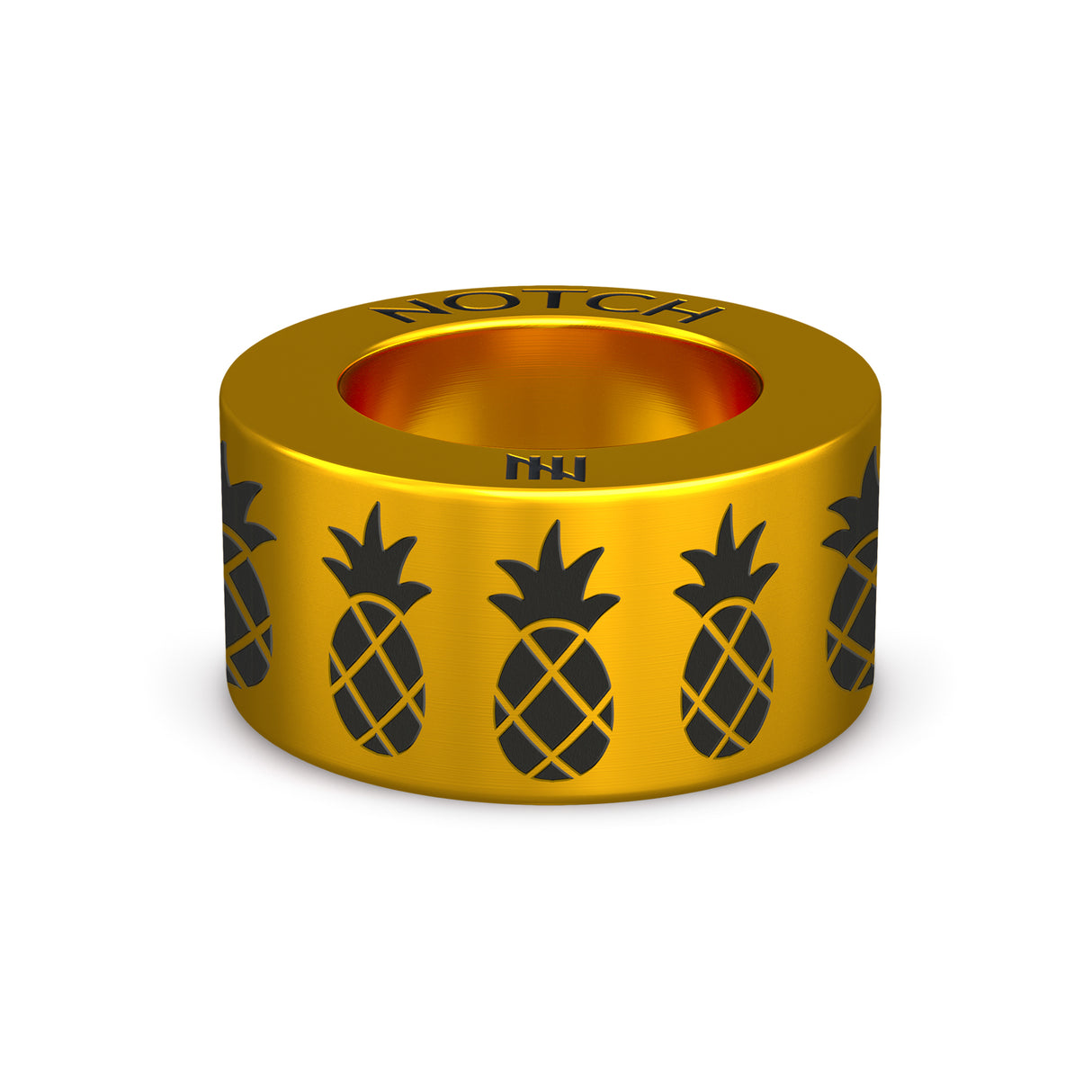 Pineapples NOTCH Charm