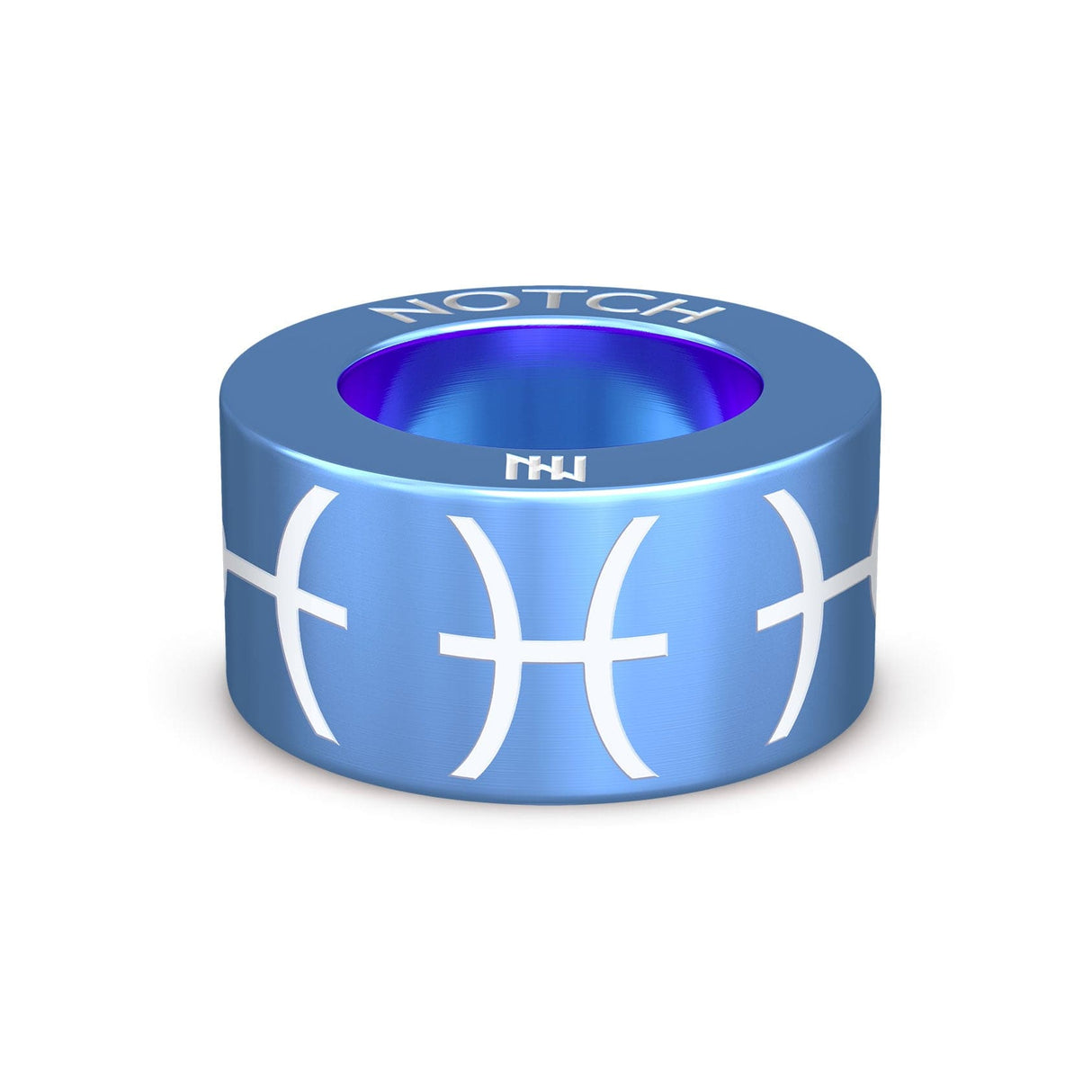 Pisces Symbol NOTCH Charm