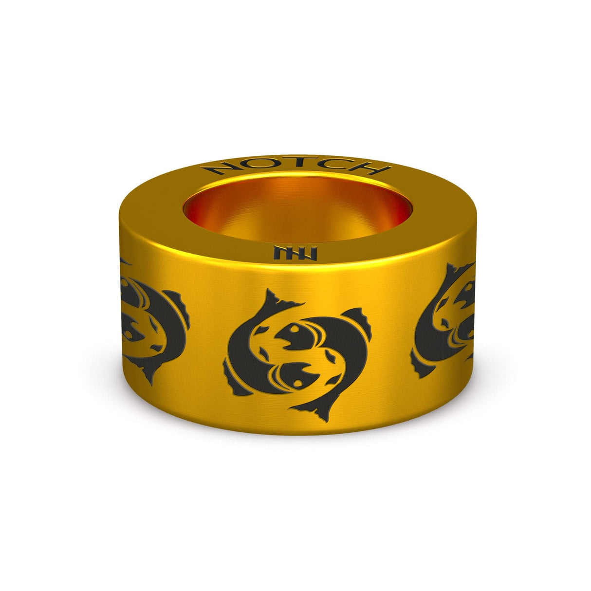 Pisces Fish NOTCH Charm
