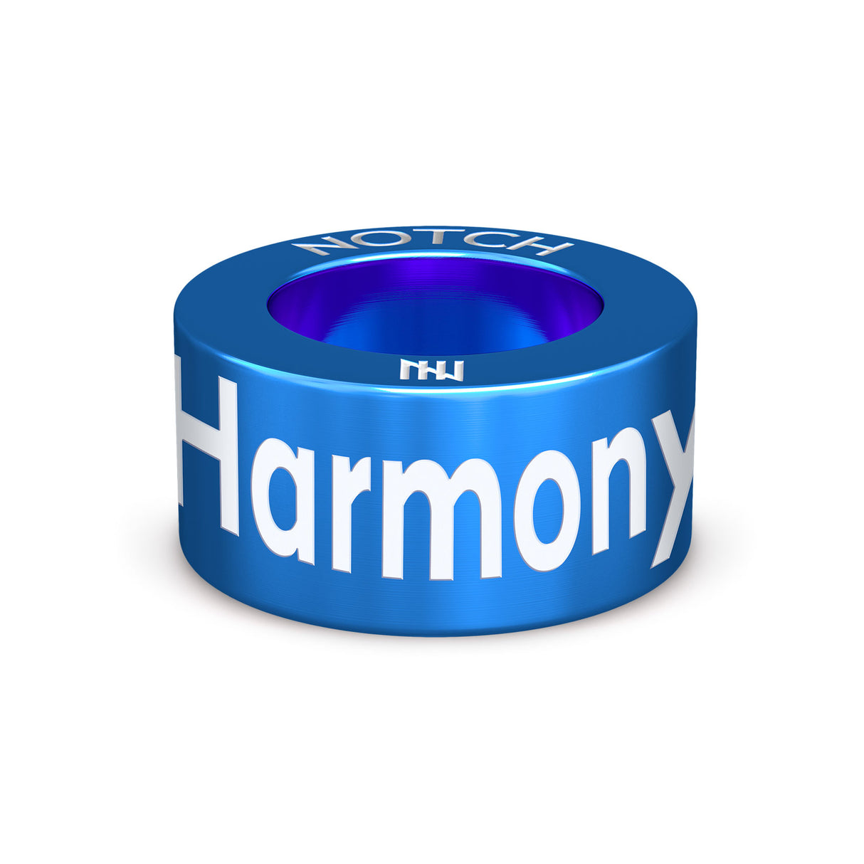 Pride in Harmony NOTCH Charm