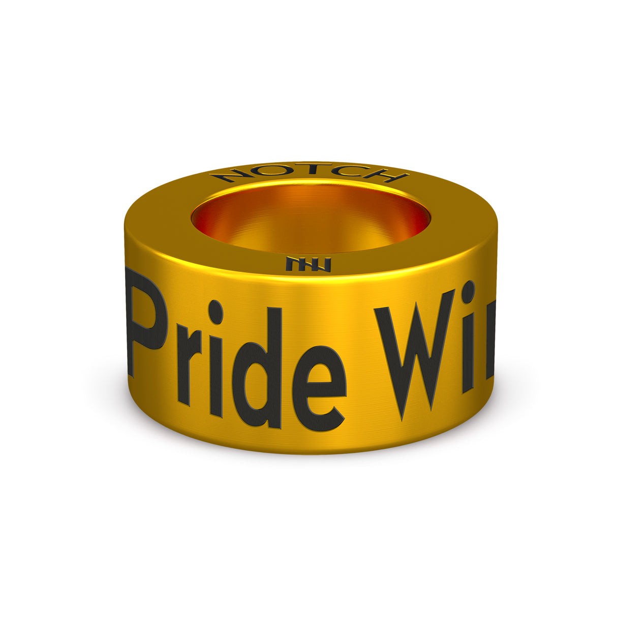 Pride Winnipeg NOTCH Charm