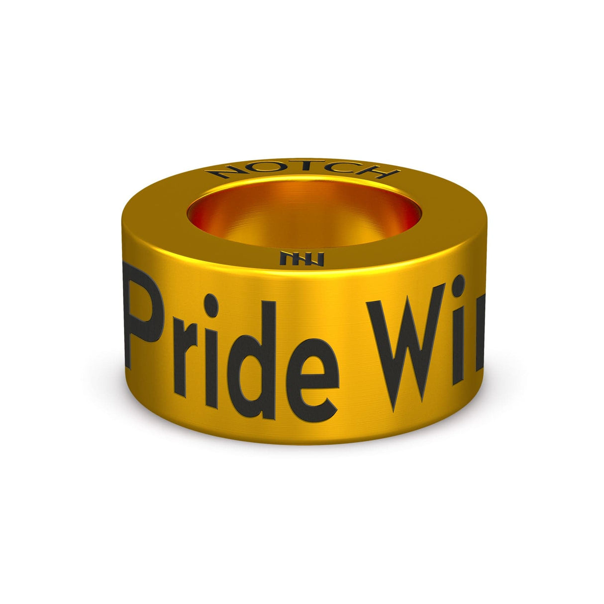 Pride Winnipeg NOTCH Charm